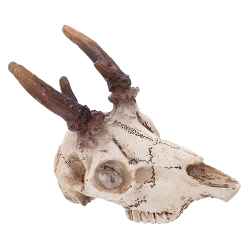 BUGUUYO Elchschädel-Ornamente Kuhschädel Wanddekoration Drachendekor Accessoires Für Bartagamen Aquariumschädel Groß Schlangentankdekoration Aquarium-schädel Schildkrötenhaus Awxzom Harz von BUGUUYO