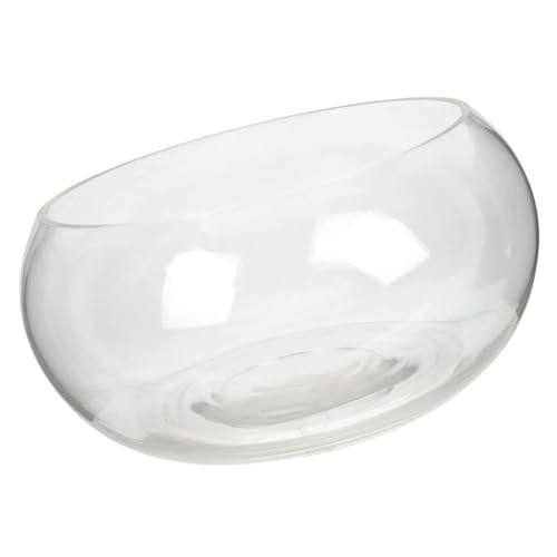 BUGUUYO Stabile runde Fischschale aus Glas große dekorative Schale zur Präsentation von Fischen und Pflanzen BUGUUYO Stabile runde Fischschale aus Glas große dekorative Schale zur Präsentation von Fischen und Pflanzen von BUGUUYO