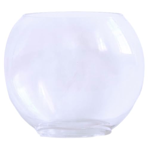 BUGUUYO Glas Oblate Fisch Tank Stilvolle Betta Tank Multi-Funktion Schüssel Haushalt Aquarium von BUGUUYO