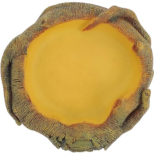 BUGUUYO Reptile Water Feeder Robuste Tränke Für Reptilien Pflegeleichte Futter Und Wasserschale Im Holzdesign Für Schildkröten Eidechsen Und Andere Haustiere BUGUUYO Reptile Water Feeder Robuste Tränke Für Reptilien Pflegeleichte Futter Und Wasserschale Im Holzdesign Für Schildkröten Eidechsen Und Andere Haustiere von BUGUUYO