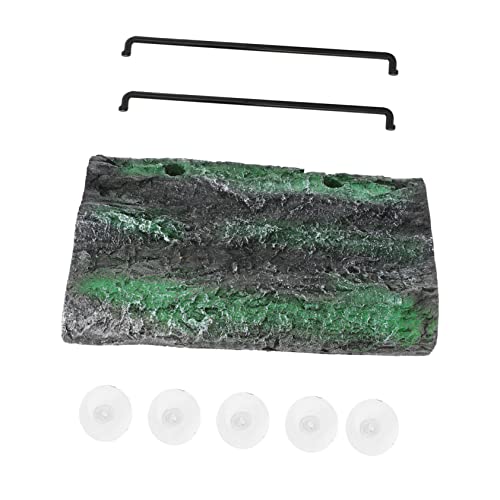 BUGUUYO Hebeplattform Für Schildkröten Schildkrötenpanzer Sich Simulation Rindenschildkrötenplattform Schildkrötenversteck Höhle Petg Umweltfreundliches Schaumstoffmaterial Green BUGUUYO Hebeplattform Für Schildkröten Schildkrötenpanzer Sich Simulation Rindenschildkrötenplattform Schildkrötenversteck Höhle Petg Umweltfreundliches Schaumstoffmaterial Green von BUGUUYO