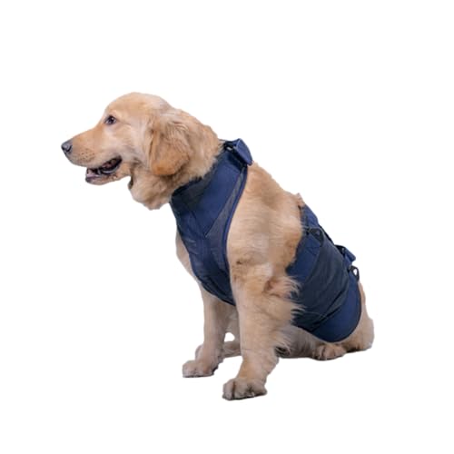 BUGUUYO Zuggurt für Hunde Hilfsgurt für Haustiere für alte behinderte Welpen tragbarer medizinischer Gürtel sicheres bequemes Material modisches stilvolles Heimtierzubehör von BUGUUYO