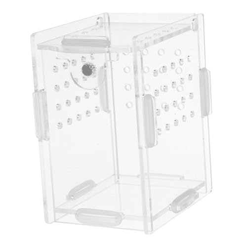 BUGUUYO Reptilien Zuchtbox Aus Feuchtigkeitsregulierende Futterstation Für Gottesanbeterinnen Eidechsen Und Weitere Kleintiere Atmungsaktives Design Für Artgerechte Haltung von BUGUUYO