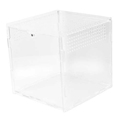 BUGUUYO Futterbox Aus Acryl Für Reptilien – Spinnenzuchtbehälter Mit Heizmatte Für Guppys & Kleintiere von BUGUUYO