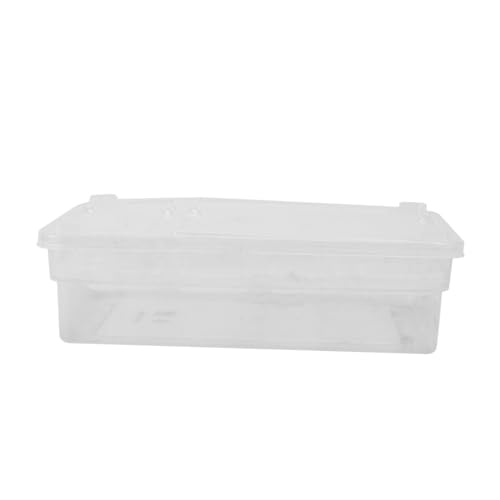 BUGUUYO Kasten Inkubationsbox Reptilien klein Belüftung Haustier Schraffur Terrarium Zucht Kindergarten schleichtiere Inkubator Plastik Weiß von BUGUUYO