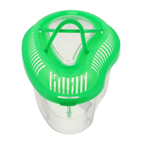 BUGUUYO Kleines Plastik Terrarium für Haustiere mit Deckel und Tragegriff Transportbox für Goldfische Reptilien Hamster und Schildkröten Grünes Aquarium BUGUUYO Kleines Plastik Terrarium für Haustiere mit Deckel und Tragegriff Transportbox für Goldfische Reptilien Hamster und Schildkröten Grünes Aquarium von BUGUUYO