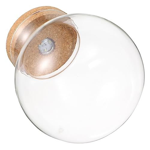 BUGUUYO DIY Mikro Landschaftsflasche Mit Holzabdeckung Und Led Licht Vase Für Aquarium Dekoration von BUGUUYO