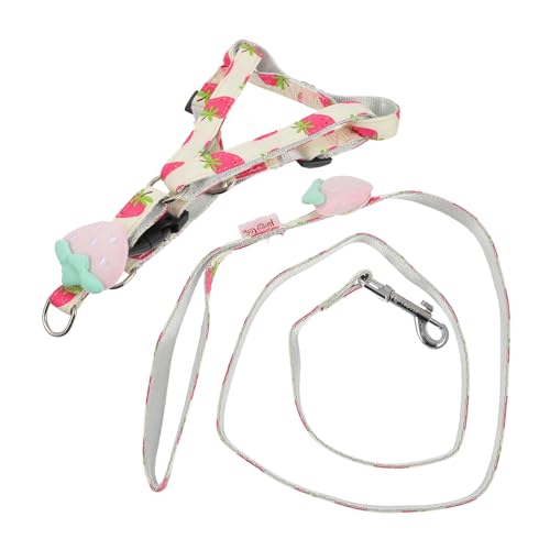BUGUUYO Obst Druck Hund Leine Einstellbare Haustier Ziehen Seil Sicher Outdoor Hund Gehen 1 5 cm Breite Erdbeere BUGUUYO Obst Druck Hund Leine Einstellbare Haustier Ziehen Seil Sicher Outdoor Hund Gehen 1 5 cm Breite Erdbeere von BUGUUYO