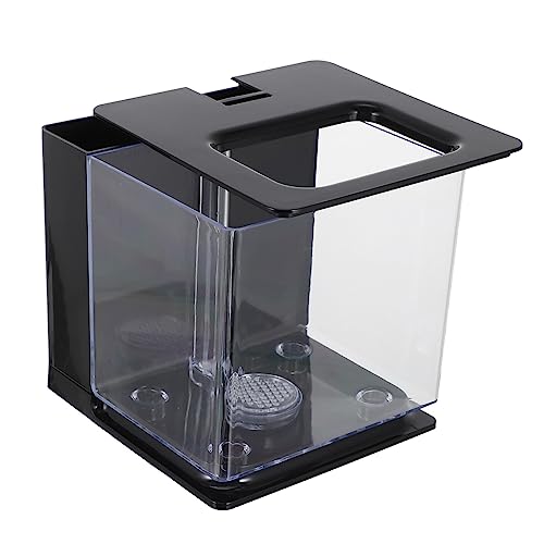 BUGUUYO Einfaches Aquarium Und Tischset Selbstreinigendes Mini-Aquarium Für Den Schreibtisch von BUGUUYO