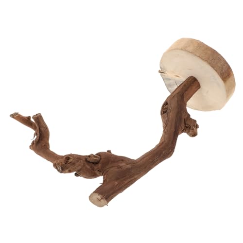 BUGUUYO Natürliche Papageien-sitzstange Aus Holz Stabiler Vogelstand Mit Breiter Basis Für Wellensittiche Und Vögel Spielzeug Für Klettern Und Training Dekorativ Und Funktional von BUGUUYO