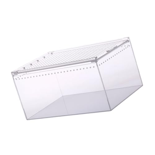 BUGUUYO Reptilien Futterbox Transparente Zuchtbox Mit Belüftungsöffnungen Für Optimale Luftzirkulation Für Reptilien Wie Frösche Spinnen von BUGUUYO