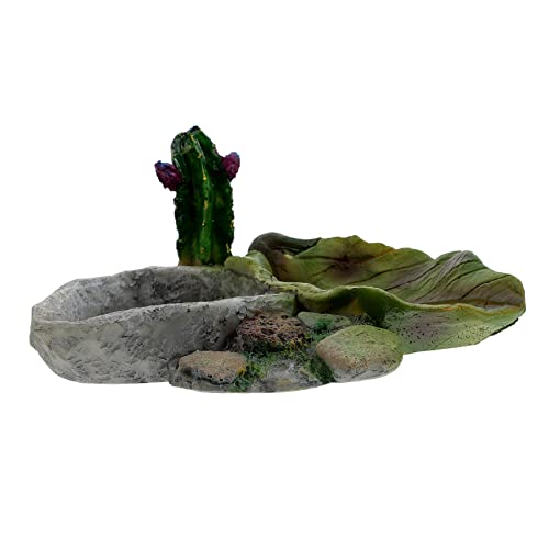 BUGUUYO Wassernapf Für Eidechsen Wassertrinkplatte Harz Tiernahrung Wassergefäß Futterspender Für Reptilien Haustierbedarf Trinkbehälter BUGUUYO Wassernapf Für Eidechsen Wassertrinkplatte Harz Tiernahrung Wassergefäß Futterspender Für Reptilien Haustierbedarf Trinkbehälter von BUGUUYO