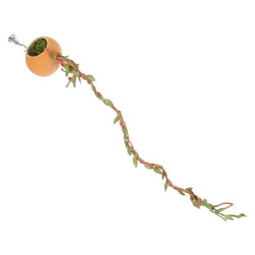 BUGUUYO Spinnenkäfig Dekoration Springspinnen Terrarium Kleines Vogelspinnengehege Haustierspinnen Versteck Gehegezubehör Springspinnennest Handgefertigter Spinnenzaun BUGUUYO Spinnenkäfig Dekoration Springspinnen Terrarium Kleines Vogelspinnengehege Haustierspinnen Versteck Gehegezubehör Springspinnennest Handgefertigter Spinnenzaun von BUGUUYO