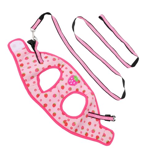 BUGUUYO Haustier-Set Mit Erdbeermuster Hundeleine Kätzchen-zugseil Stilvoll Und Sicher Für Im Freien von BUGUUYO