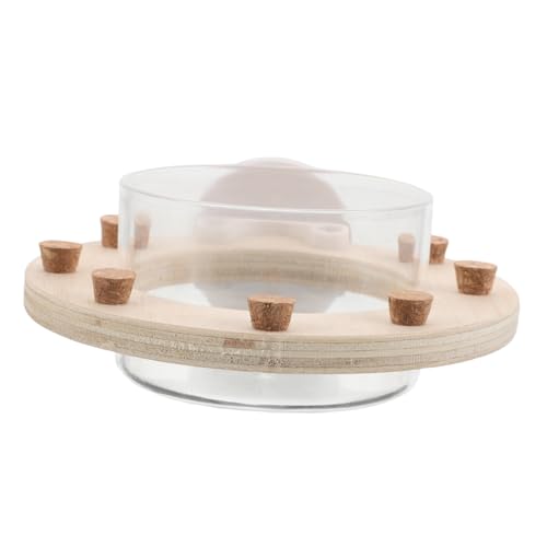 BUGUUYO Transparente Futter und Wasserstation für Verschiedene Papageienarten zu Reinigen für Vogelkäfige Verschwendung und Sorgt für Frische Versorgung von BUGUUYO