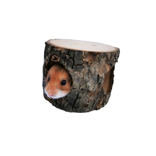 BUGUUYO Holz Tunnel Spielzeug Für Hamster Fach Zugang Kleiner Tier Tunnel Aus Naturholz Für Meerschweinchen Und Kleintiere Kauspielzeug Für Mehr Abenteuer Und von BUGUUYO