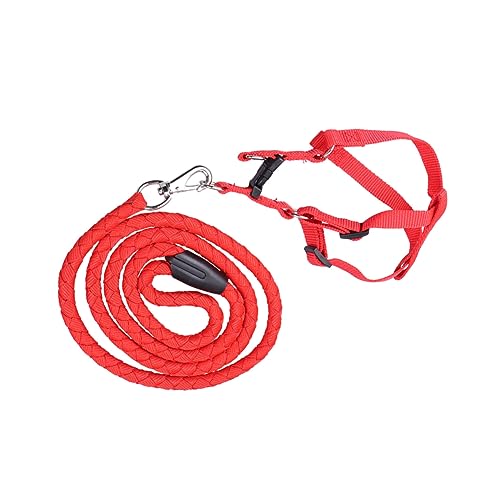BUGUUYO Pet Supplies Bright Traction XXL Für Große Sichere Und Bequeme von BUGUUYO