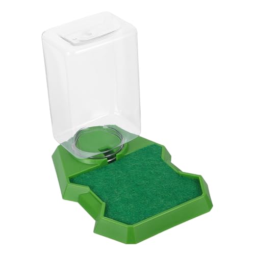 BUGUUYO Wasserspender für Reptilien Futterteller für Schildkröten Gecko-Wasserspender Zubehör für Reptilien Schildkröte Wasserschale Reptilienschale Gecko -Zubehör Plastik Grün BUGUUYO Wasserspender für Reptilien Futterteller für Schildkröten Gecko-Wasserspender Zubehör für Reptilien Schildkröte Wasserschale Reptilienschale Gecko -Zubehör Plastik Grün von BUGUUYO