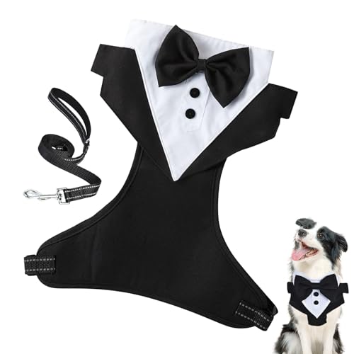 BUKISA Hunde-für kleine Hunde, Hunde-Hochzeitsoutfit,Hundeprinz-Hochzeits-Fliege-Shirt mit Zugseil - Hunde-Outfit, Hochzeitskleidung, formeller für Hunde, Welpenkleidung für formelle Anlässe von BUKISA