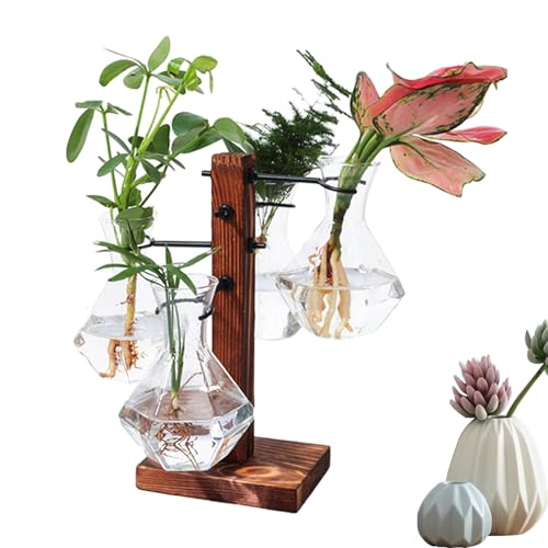 Desktop-Pflanzenterrarium, Glaspflanzgefäß mit Ständer | Desktop-Hydroponik-Luftpflanzerhalter | Moderne Glühbirnenbecher-Glasvase, Terrarium-Glühbirnenglasvase mit Holzständer für Bukisa von BUKISA