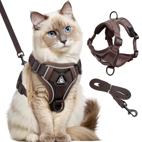 Katzengeschirr mit Leine Ausbruchsicher, Katzengeschirr mit Leine Set, Verstellbar Katze Brustgeschirr mit Reflektierend Streifen & Atmungsaktiv Netzgewebe, für Katzen Kätzchen Welpen (M) von BUKYCAT