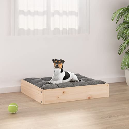 BULANED Hundebett, Hundesofa, Hunde Bett, Hundekissen, Dog Bed, Kuschelbett Katzen, Hunde Couch, Hunde Sofabett, 51,5x44x9 cm Massivholz Kiefer BULANED Hundebett, Hundesofa, Hunde Bett, Hundekissen, Dog Bed, Kuschelbett Katzen, Hunde Couch, Hunde Sofabett, 51,5x44x9 cm Massivholz Kiefer von BULANED