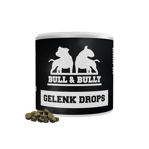 BULL & BULLY– Gelenk Drops mit Grünlippmuschel Hund – Von Tierärzten entwickelt – Gelenktabletten Hund geeignet als Hunderunde Futtertopping – 350 g Hundeleckerli mit Teufelskralle, MSM & Kollagen von BULL & BULLY
