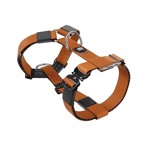 Bullyion Original Equipment Trinity Geschirr für stark ziehende Hunde mit Softcell-Polsterung, Lockforce-Schnallen, 3 Leinen-Befestigungspunkte, Hundetrainer Wahl, für alle Rassen, Orange Marmelade von BULLYION ORIGINAL EQUIPMENT