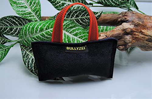 BULLYZEI Beißkissen Mini Leder 15 x 8 cm mit Quietscher/Squeaker, 1 Schlaufe von BULLYZEI