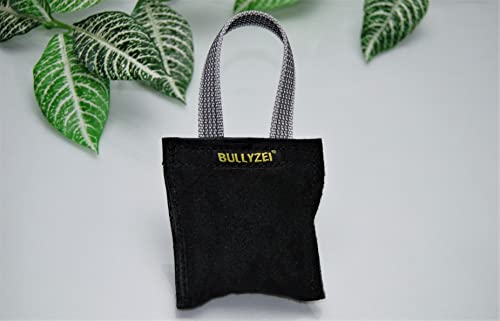 BULLYZEI Beißwurst Leder 10 x 10 cm, 1 Schlaufe in silbere gummiert BULLYZEI Beißwurst Leder 10 x 10 cm, 1 Schlaufe in silbere gummiert von BULLYZEI