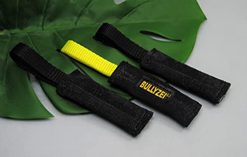 BULLYZEI Beißwurst Leder flach 10 x 3cm Fährten BULLYZEI Beißwurst Leder flach 10 x 3cm Fährten von BULLYZEI