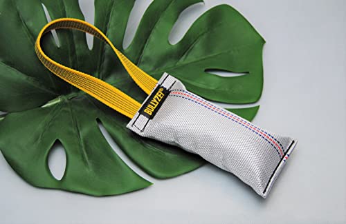 BULLYZEI Dummy Feuerwehrschlauch 16 x 5,5 cm, 1 Schlaufe BULLYZEI Dummy Feuerwehrschlauch 16 x 5,5 cm, 1 Schlaufe von BULLYZEI