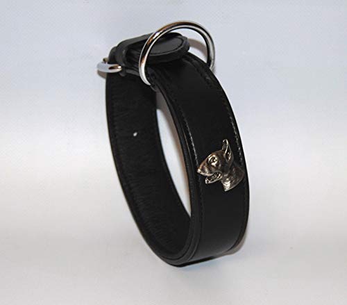 BULLYZEI Schönes Lederhalsband Bullterrier D-Ring bei der Schnalle 50cm x 4cm SCHWARZ BULLYZEI Schönes Lederhalsband Bullterrier D-Ring bei der Schnalle 50cm x 4cm SCHWARZ von BULLYZEI