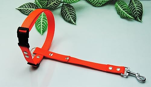Böttcher Fährtengeschirr Fester Steg, Gr.L Nylon 25mm Neon-Orange Böttcher Fährtengeschirr Fester Steg, Gr.L Nylon 25mm Neon-Orange von BULLYZEI
