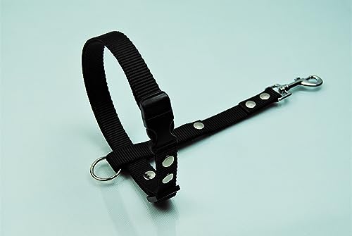 Böttcher Fährtengeschirr Fester Steg Gr.M Nylon 20mm SCHWARZ Böttcher Fährtengeschirr Fester Steg Gr.M Nylon 20mm SCHWARZ von BULLYZEI