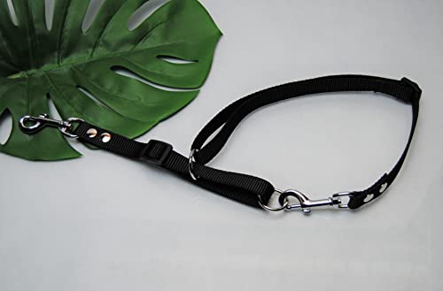 Böttcher Fährtengeschirr Nylon Gr.M Schwarz 20mm Suchgeschirr Böttcher Fährtengeschirr Nylon Gr.M Schwarz 20mm Suchgeschirr von BULLYZEI