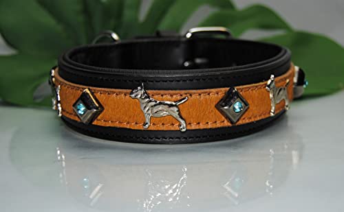 Bullterrier Lederhalsband schwarz/Kuhfell Kristall 50cm x 4cm beige von BULLYZEI