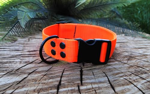 Halsband 4cm breit Gr.L ORANGE (OL) von BULLYZEI