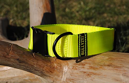 breites Nylon Halsband 4cm Neon, Suchhund breites Nylon Halsband 4cm Neon, Suchhund von BULLYZEI