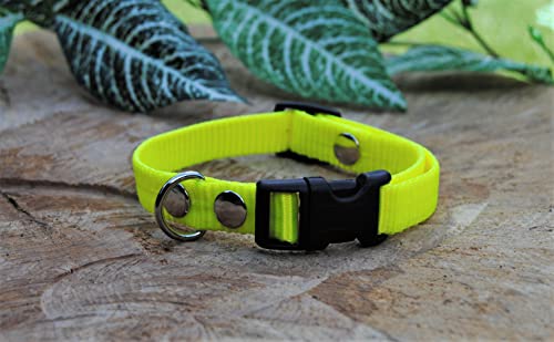 Halsband Nylon 15mm Neon-Gelb Collie Welpenhalsband Halsband Nylon 15mm Neon-Gelb Collie Welpenhalsband von BULLYZEI
