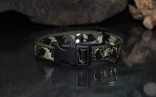 Halsband Nylon 15mm Tarn Jack Russel Halsband Nylon 15mm Tarn Jack Russel von BULLYZEI