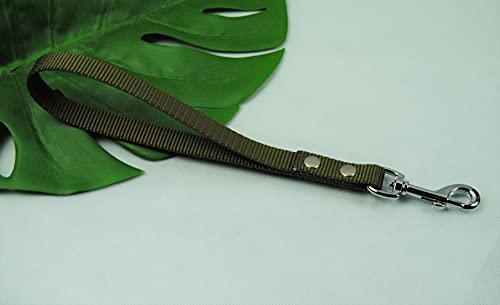 Kurzführer Leine 35cm MIT Schlaufe Oliv 20mm Silber Karabiner von BULLYZEI