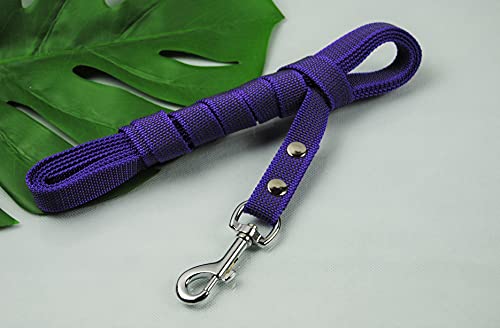 Leine gummiert lila 20mm x 3m ohne Schlaufe Leine gummiert lila 20mm x 3m ohne Schlaufe von BULLYZEI