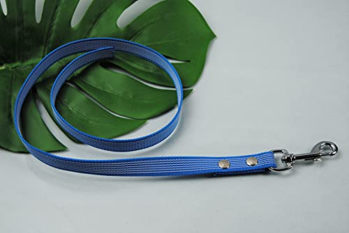 Leine gummiert türkis 20mm x 1m ohne Schlaufe Leine gummiert türkis 20mm x 1m ohne Schlaufe von BULLYZEI