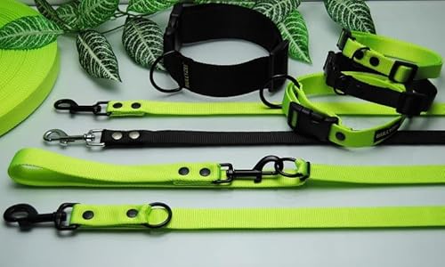 Schlauchgurt Leine 20mm x 2m ohne Schlaufe Trainingsleine Führleine (Schwarz, Karabiner: Schwarz) von BULLYZEI