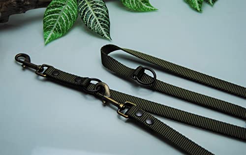 XXXL verstellbare Doppelführleine Nylon Oliv 4m x 20mm Karabiner Antik-Messing XXXL verstellbare Doppelführleine Nylon Oliv 4m x 20mm Karabiner Antik-Messing von BULLYZEI