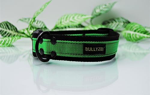 breites Nylon Halsband 4cm Schwarz - Streifen Grün, Bulldogge Retriever Boxer Collie von BULLYZEI