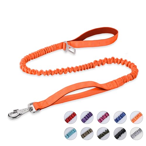 BUMBIN Hundeleine für große Hunde, Bungee-Hundeleine mit 2 Griffen, robuste Hundeleine für mittelgroße und kleine Hunde, kein Ziehen, stoßdämpfende Hundeleine mit Auto-Sicherheitsgurt für Training, von BUMBIN