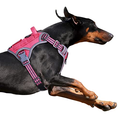 mous TIK Tok No Pull Puppy Harness, Fit Smart Reflektierendes Haustier Walking Harness für Training, Verstellbare Hundeweste Geschirr mit Griff Rose Red XL von BUMBIN