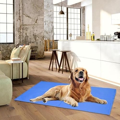 Hundebett, Kühlmatte, Hundematte, Hundematte, kühlende Sommer-Pad-Matte, wasserdicht, Welpenbett, Hunde, Katze, Decke, Sofa, atmungsaktiv, selbstkühlendes Gel-Pad, Sommer-Haustierbedarf ( Color : 65x5 Hundebett, Kühlmatte, Hundematte, Hundematte, kühlende Sommer-Pad-Matte, wasserdicht, Welpenbett, Hunde, Katze, Decke, Sofa, atmungsaktiv, selbstkühlendes Gel-Pad, Sommer-Haustierbedarf ( Color : 65x5 von BUNGAA